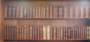 本が綺麗に並んでいる お洒落