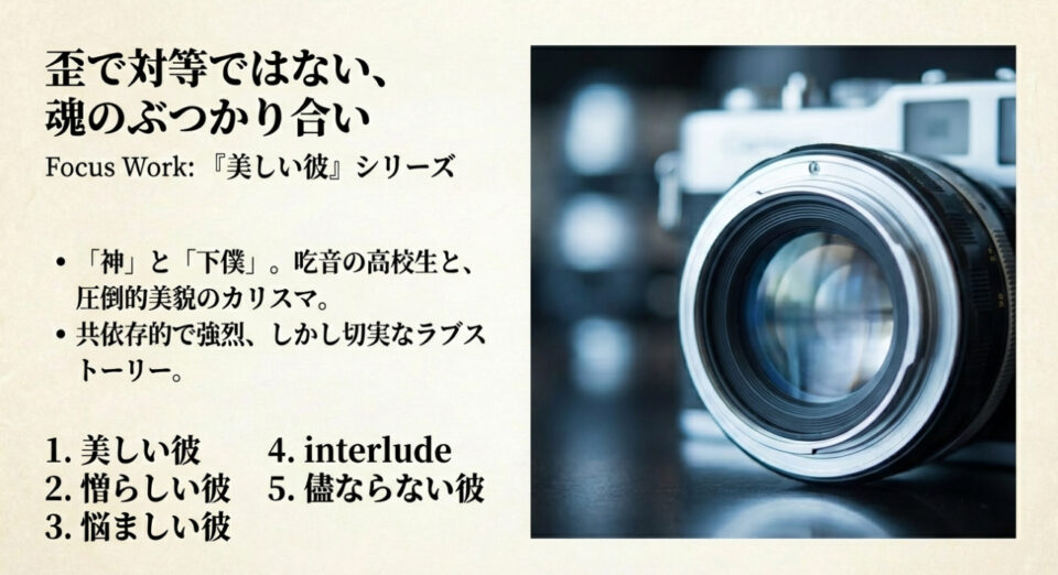 カメラのレンズの画像。「歪で対等ではない、魂のぶつかり合い」というキャッチコピーとシリーズ一覧。