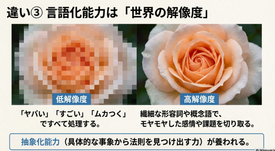 モザイクのかかったぼやけたバラ（低解像度）と、鮮明で細部まで見えるバラ（高解像度）を並べ、語彙力による認識の差を表した画像。